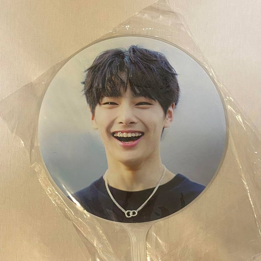 スキズ アイエン イエニ うちわ まとめ売り straykids スキズ アイエン