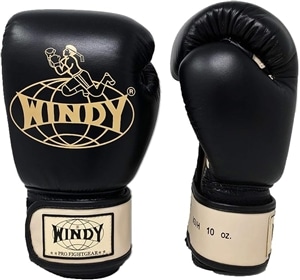 美品】WINDY ウィンディ グローブ テープ式 速乾暖房機械セット
